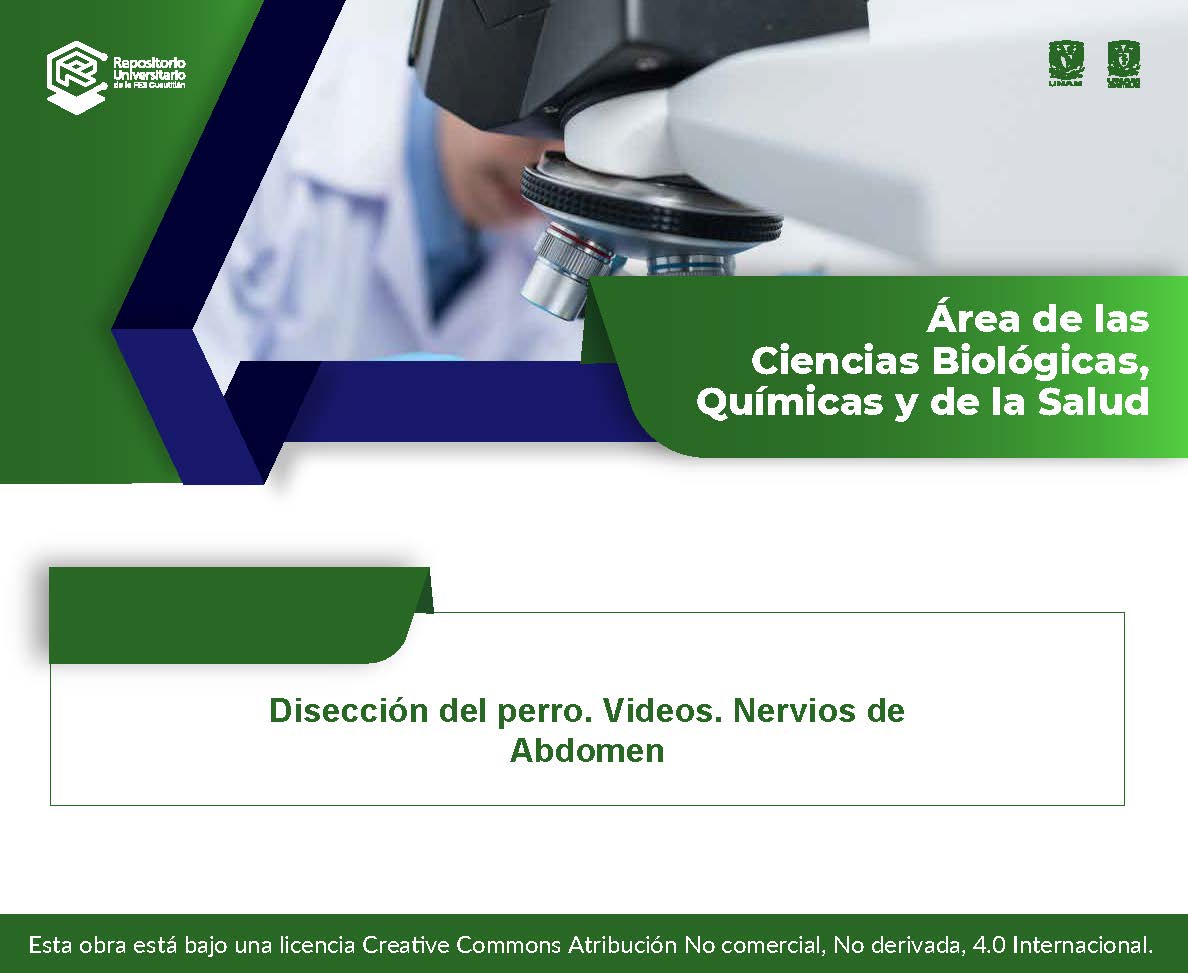 Disección del perro. Videos. Nervios de Abdomen.jpg