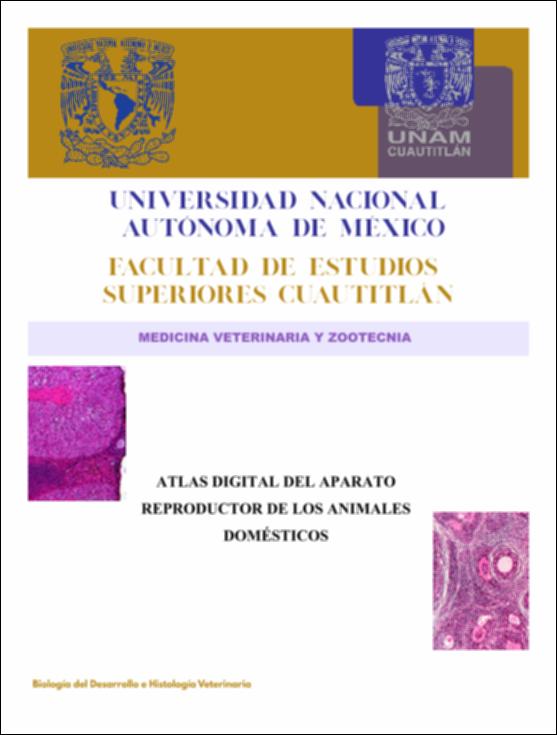FESC_MVZ_2023_0090.pdf.jpg