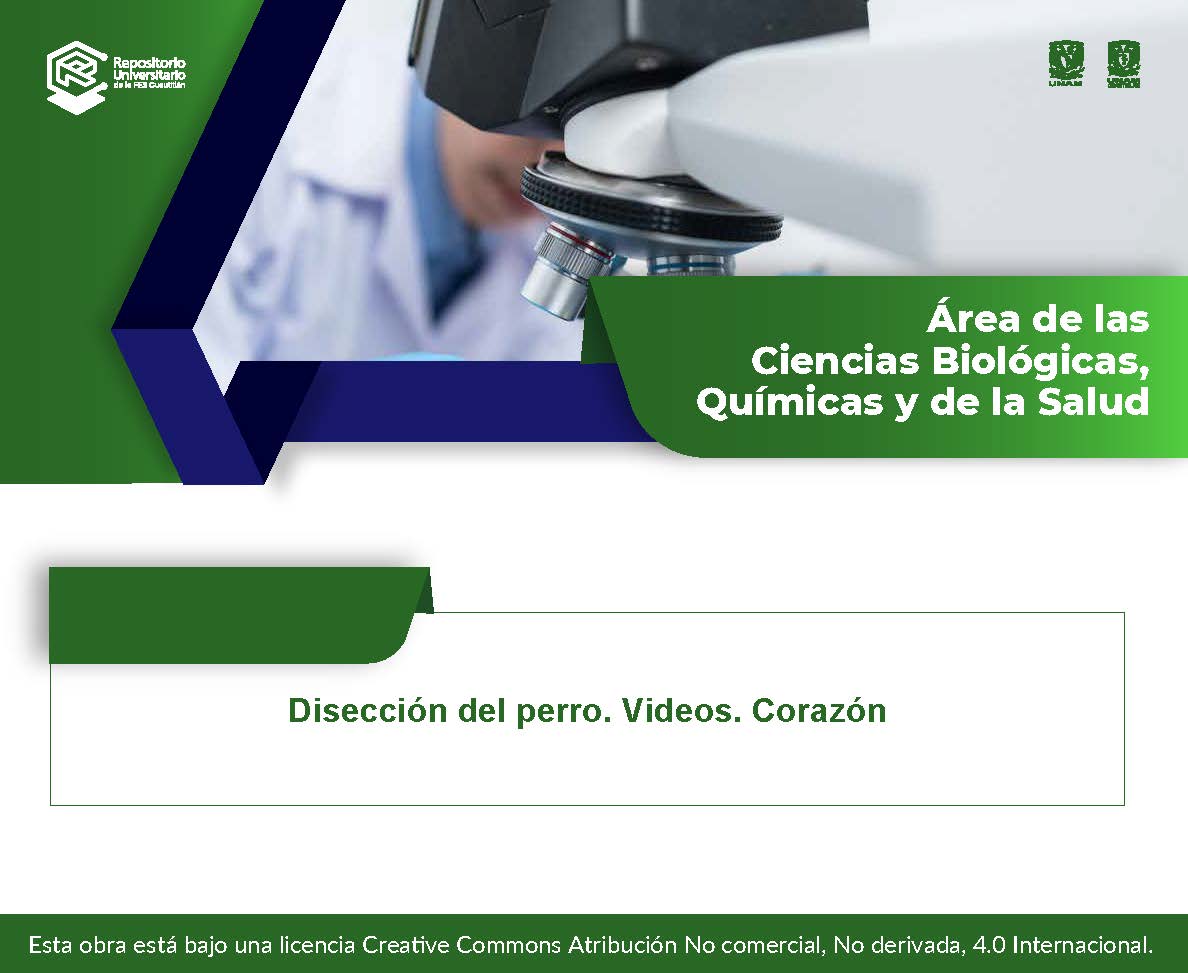 Disección del perro. Videos. Corazón.jpg